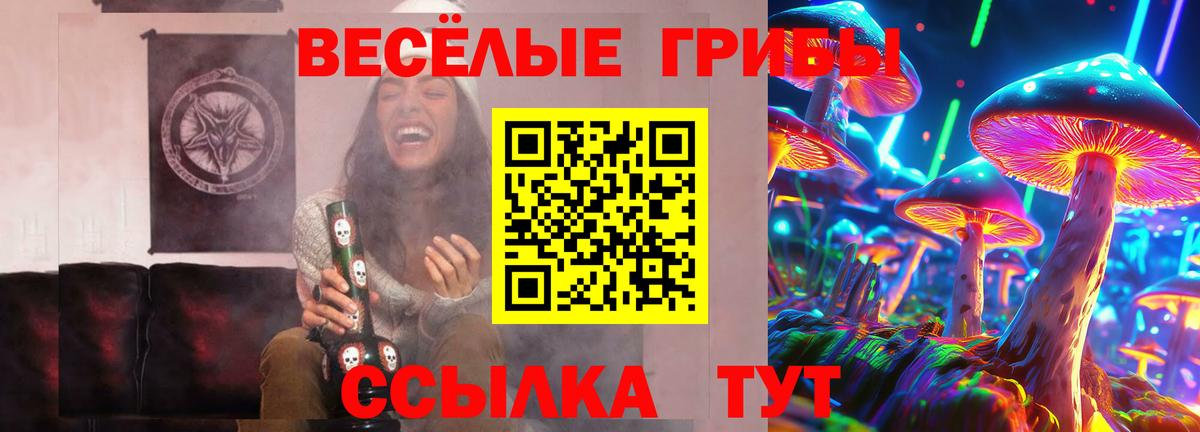 Псилоцибиновые грибы MAGIC MUSHROOMS  Вход с VPN  Электросталь 